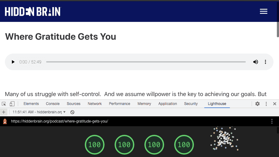 This is what a perfect lighthouse site optimization score looks like!